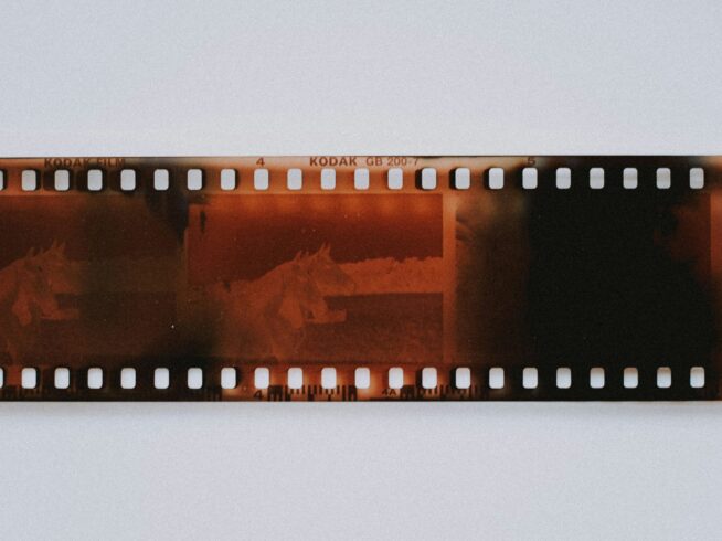 mathias-reding-r3arTcgmznU-unsplash